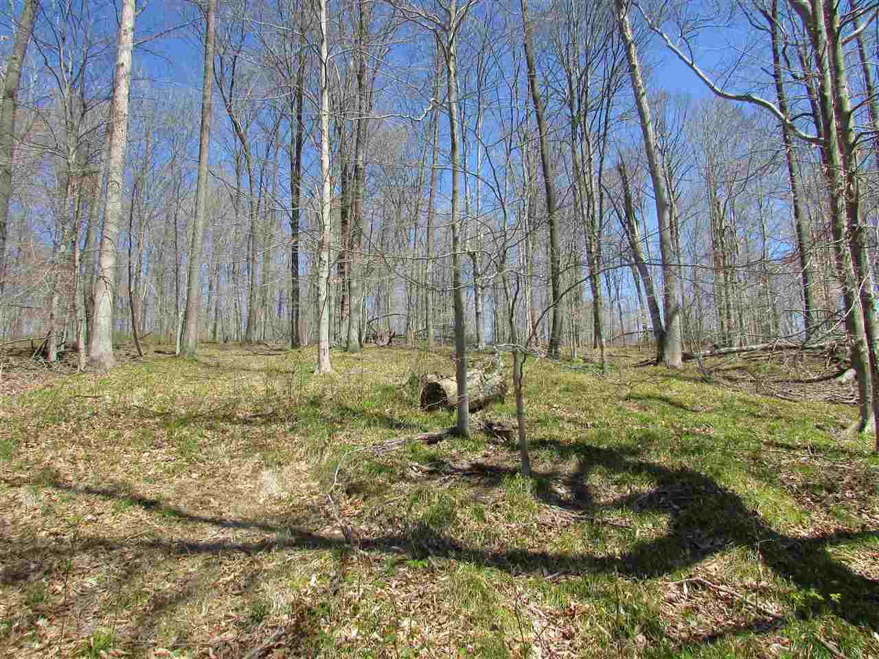 North Letterman Road Paragon, IN 46166 - Photo 20 of 28