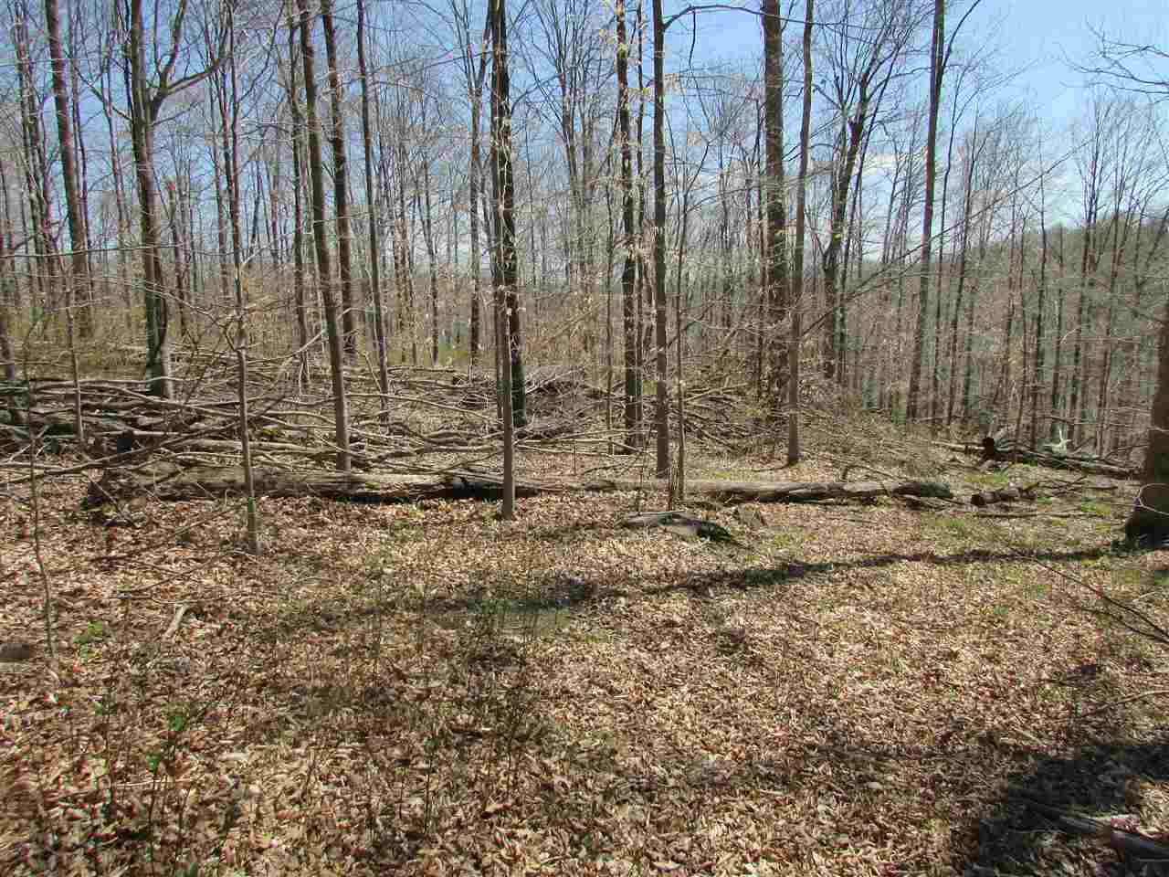 North Letterman Road Paragon, IN 46166 - Photo 21 of 28