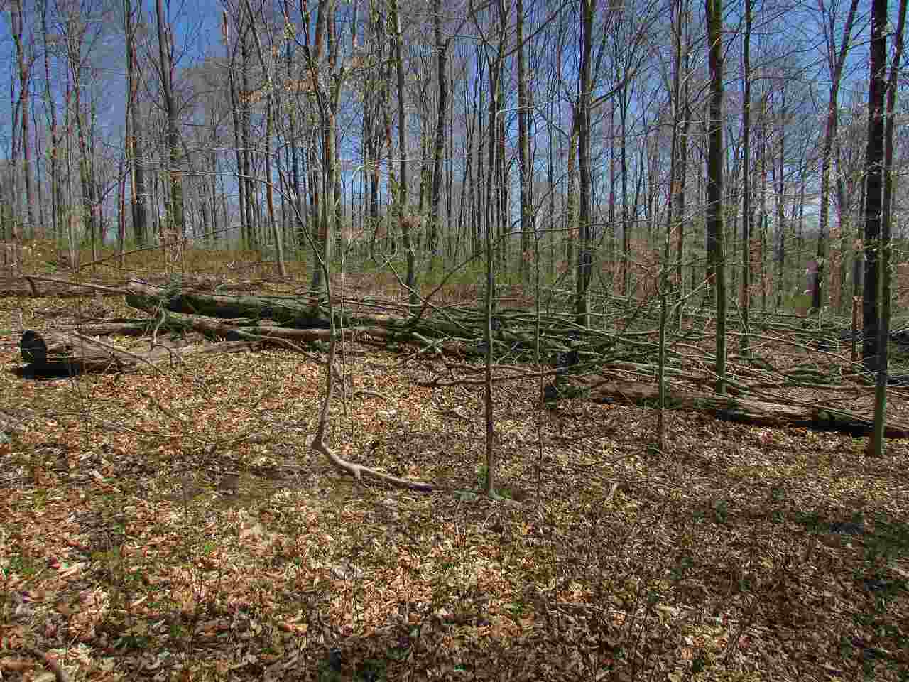 North Letterman Road Paragon, IN 46166 - Photo 7 of 28