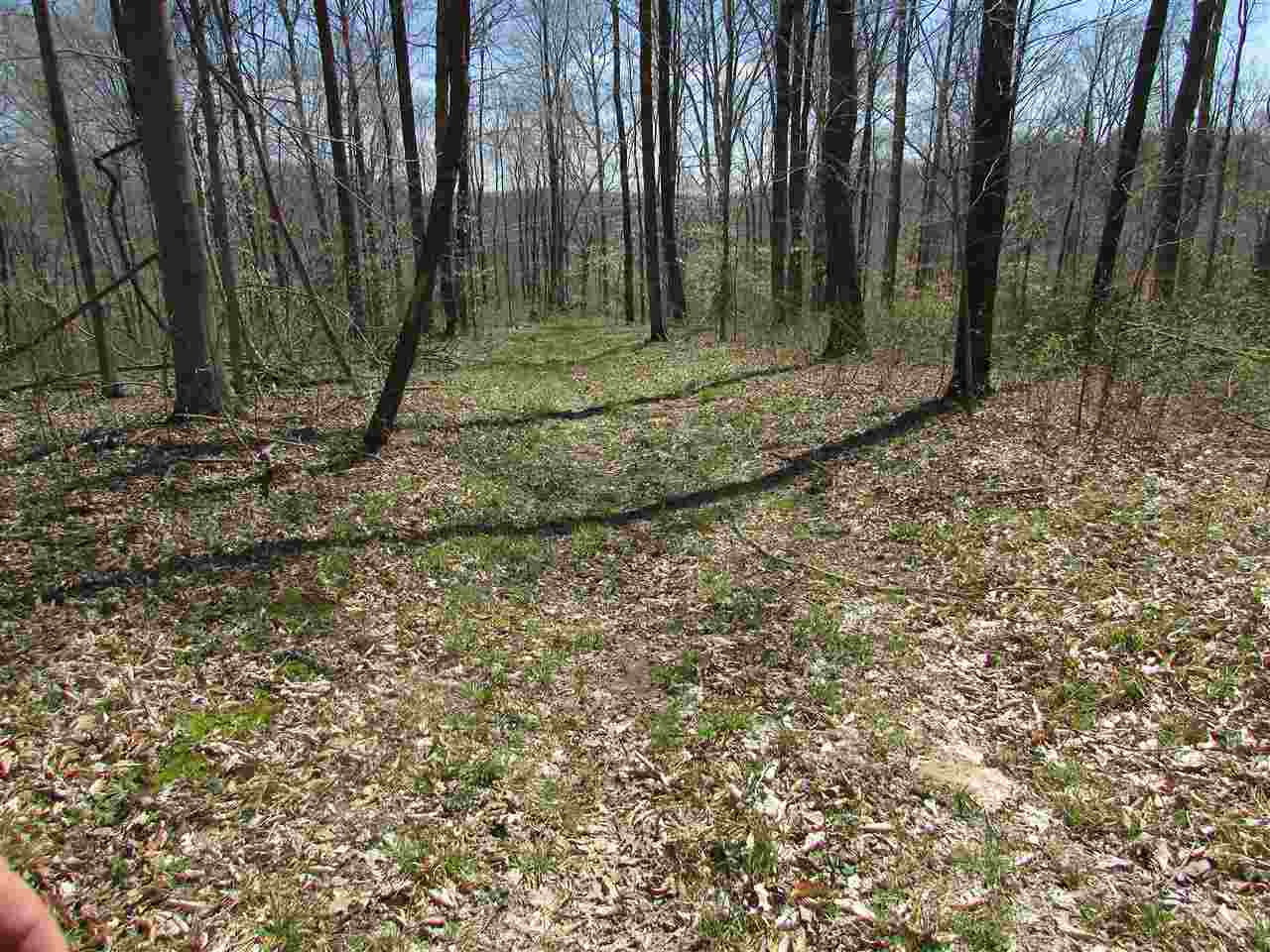 North Letterman Road Paragon, IN 46166 - Photo 9 of 28