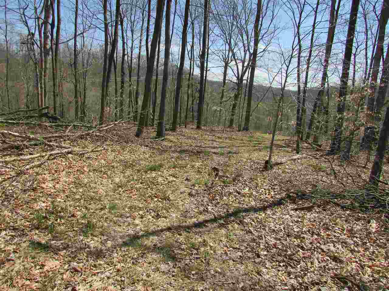 North Letterman Road Paragon, IN 46166 - Photo 10 of 28