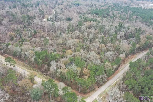 $62,000 | 3 Charles Holden Road, Holden, LA 70744