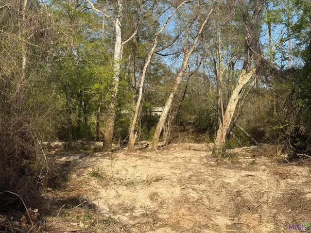 $62,000 | 3 Charles Holden Road, Holden, LA 70744