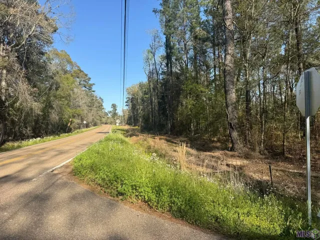 $62,000 | 3 Charles Holden Road, Holden, LA 70744