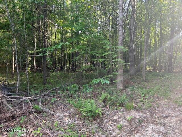 1646 Soundneck Road Elizabeth City, NC 27909 - Photo 1 of 1 Soundneck Road