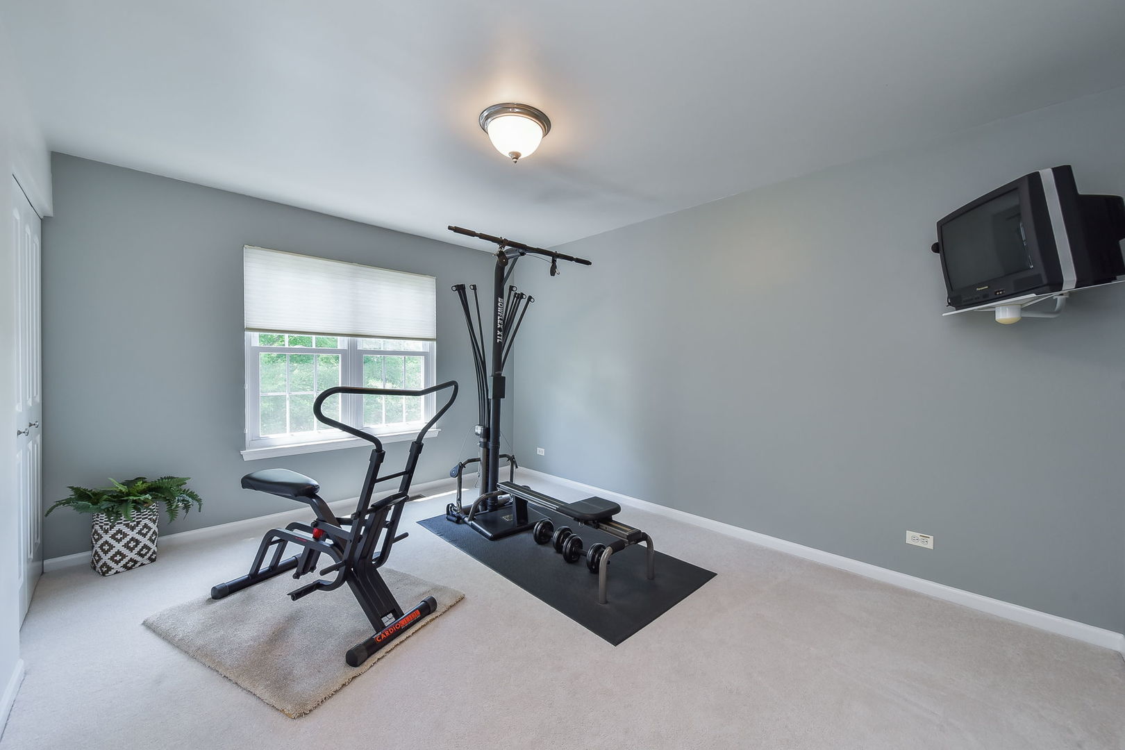 1699 Montclair Drive Elgin, IL 60123 - Photo 21 of 30 a room with gym equipment and a potted plant