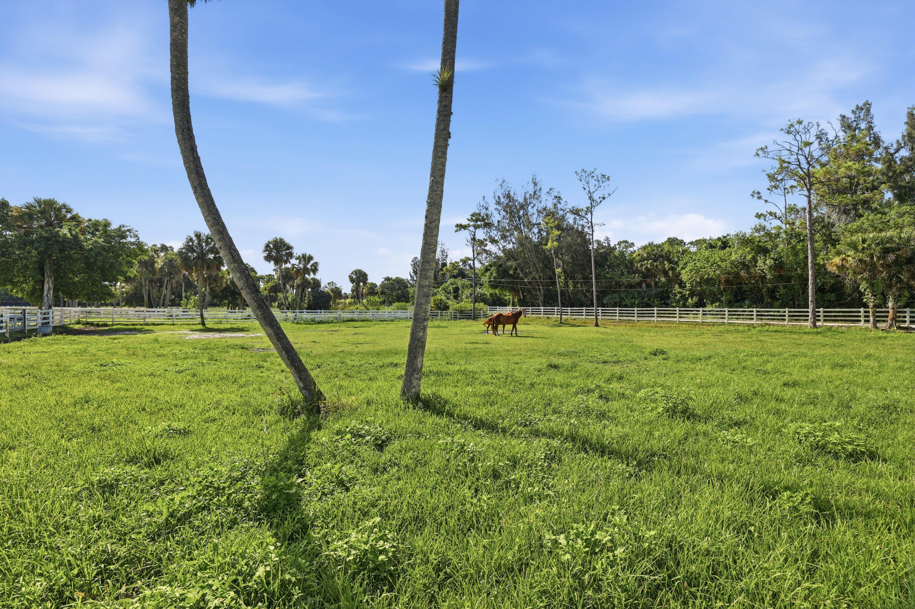14095 Biddex Road Loxahatchee Groves, FL 33470 - Photo 49 of 69 a view of a park