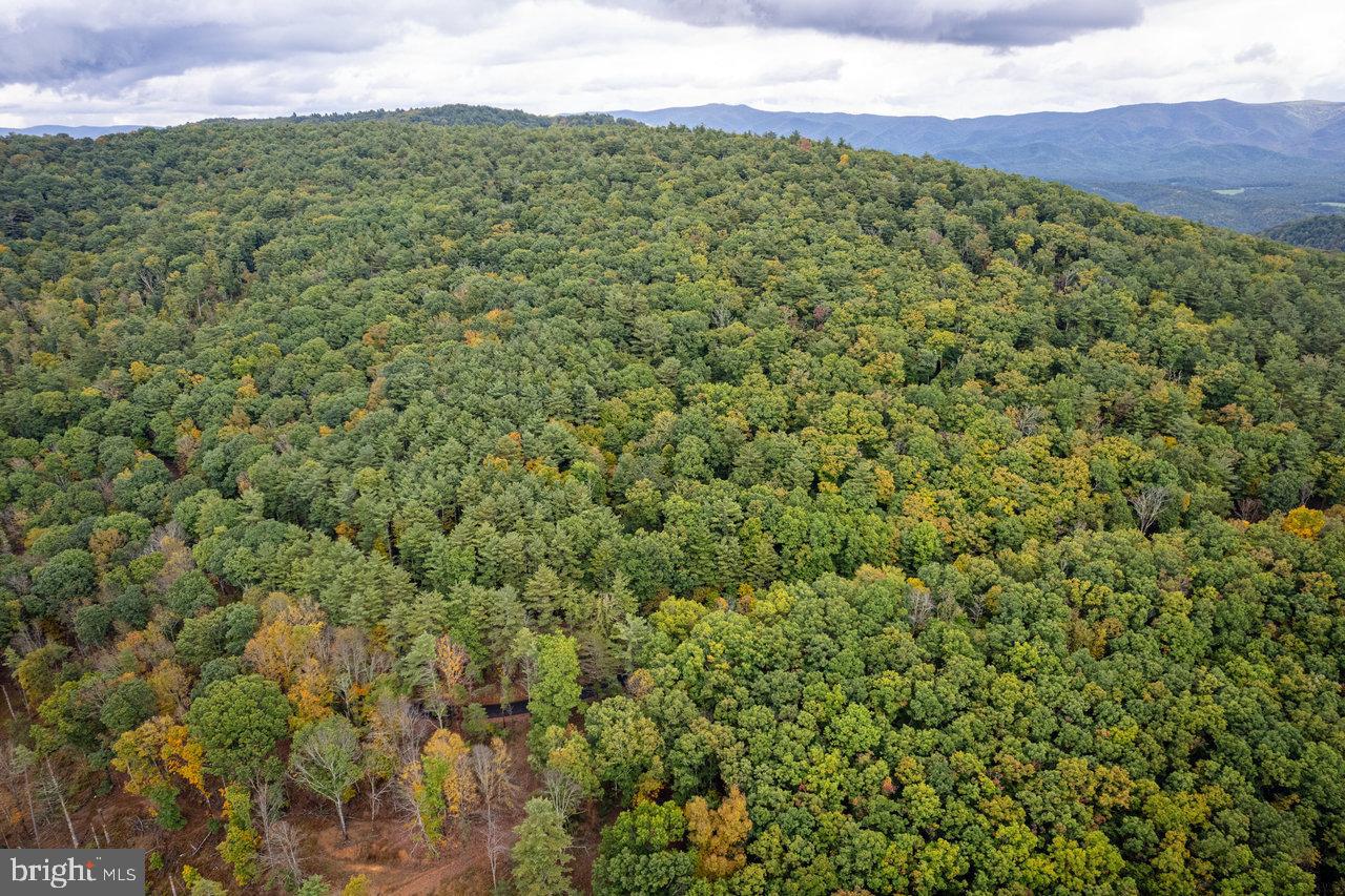 0 Dry Run Road Brandywine, WV 26802 - Photo 22 of 33