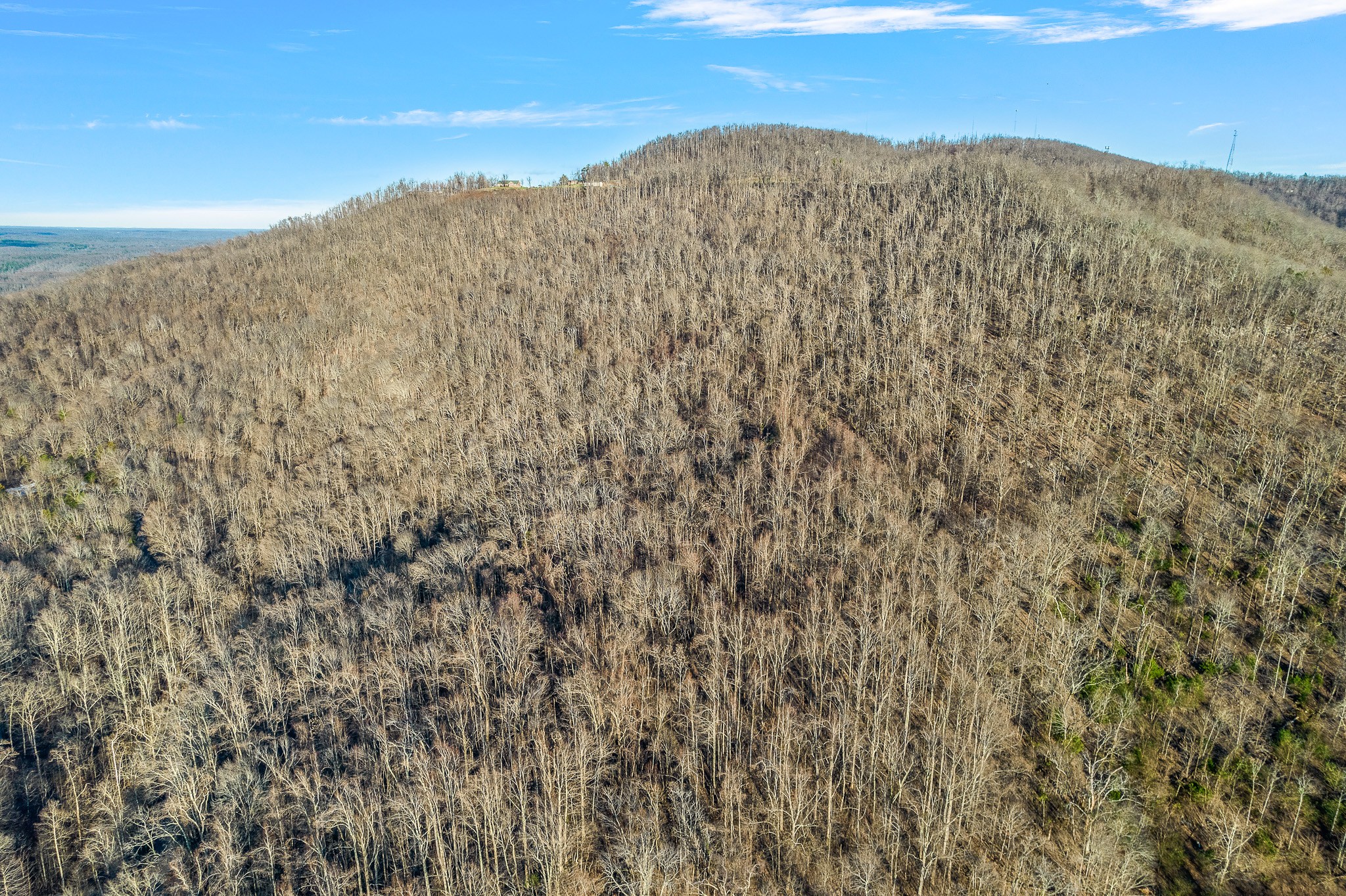 0 Sugar Tree Knob Road Woodbury, TN 37190 - Photo 16 of 30 Gallery Image 16