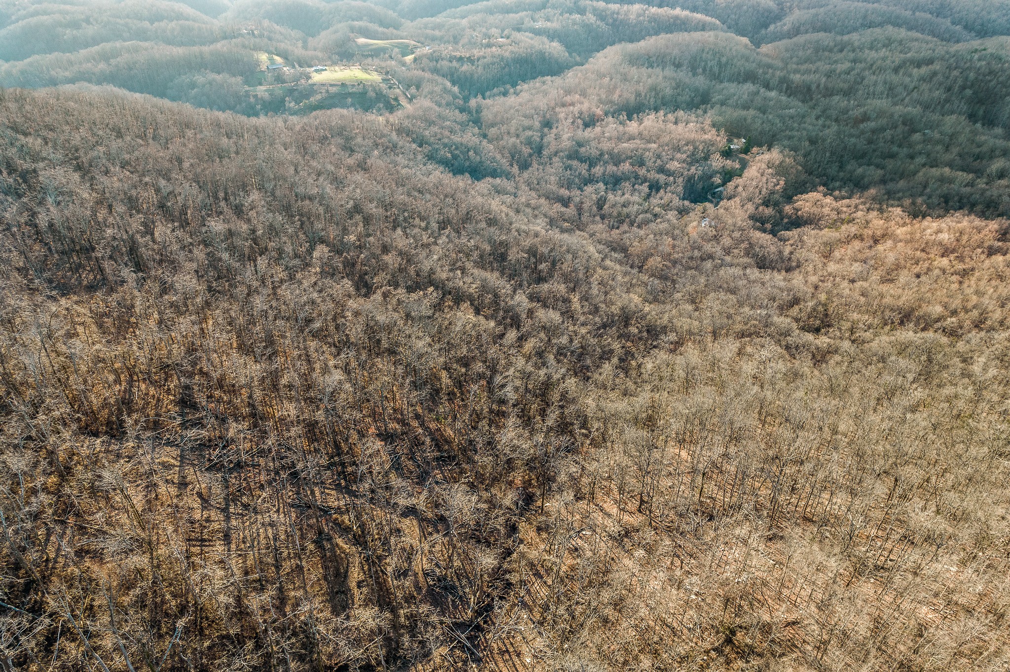 0 Sugar Tree Knob Road Woodbury, TN 37190 - Photo 22 of 30 Gallery Image 22