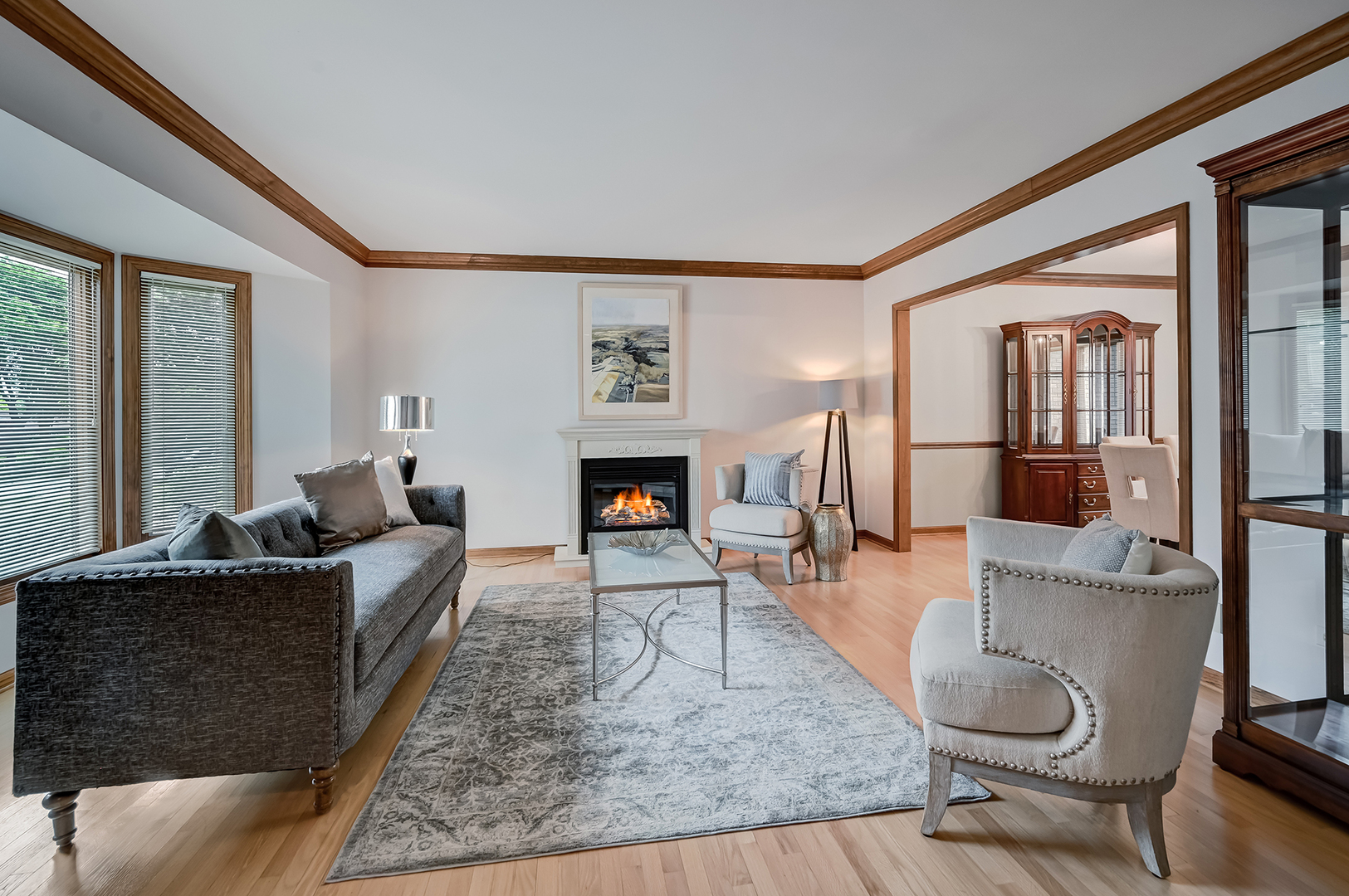 27 Garfield Ridge Court Willowbrook, IL 60527 - Photo 5 of 34 Gallery Image 5