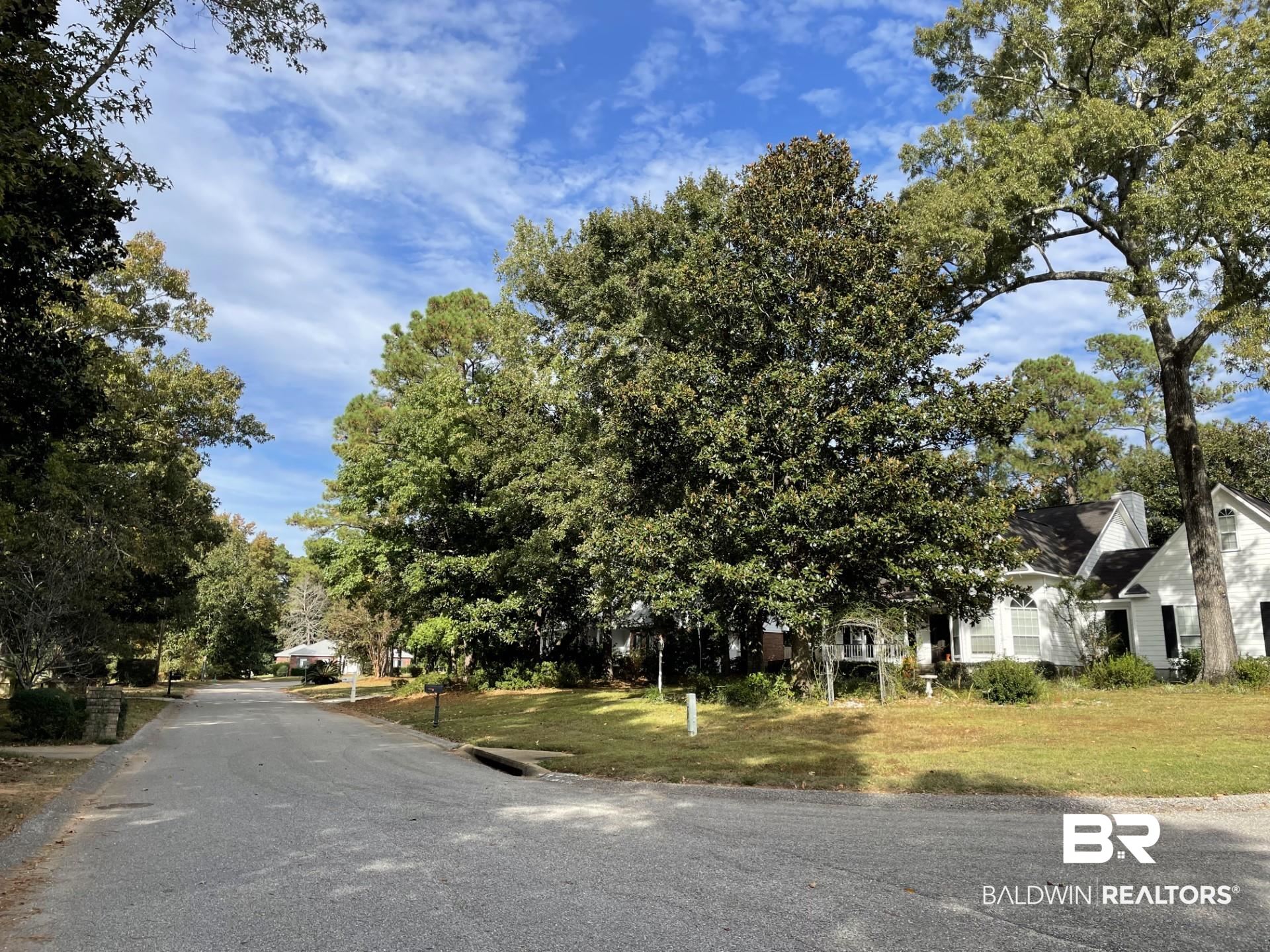 0 Signal Hill Road Daphne, AL 36527 - Photo 4 of 4