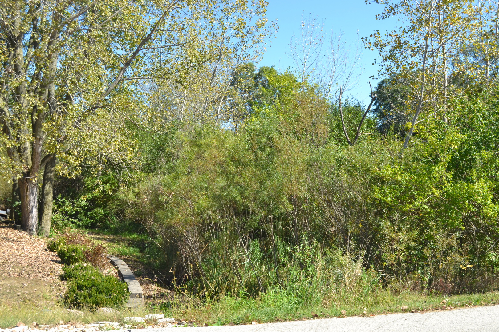 13040 Parker Road Lemont, IL 60439 - Photo 3 of 4 Gallery Image 3