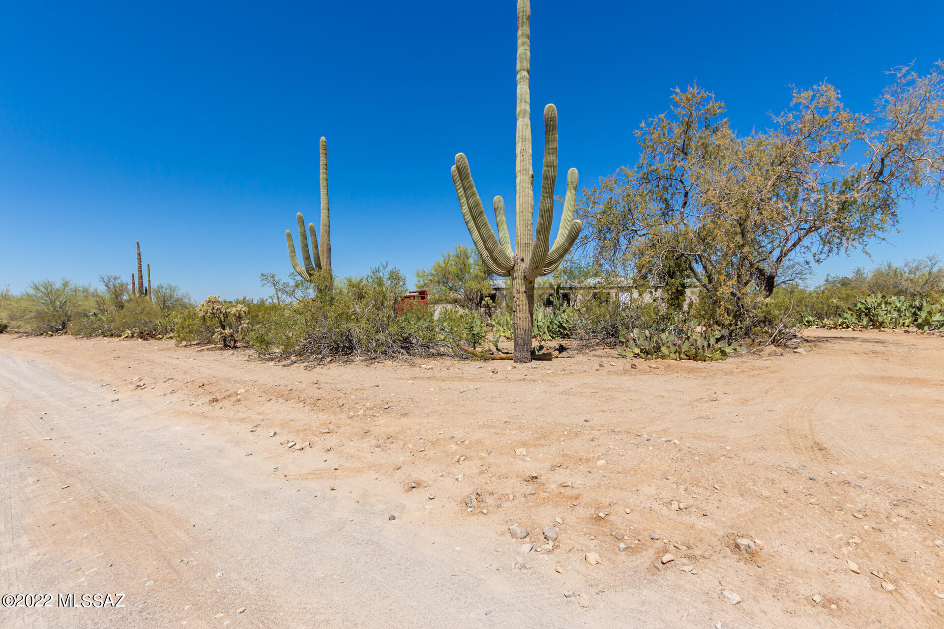 10390 West Ina Road Tucson, AZ 85743 - Photo 8 of 41 Gallery Image 8