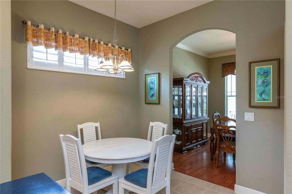 3746 Dogtrot Street New Port Richey, FL 34655 - Photo 13 of 50