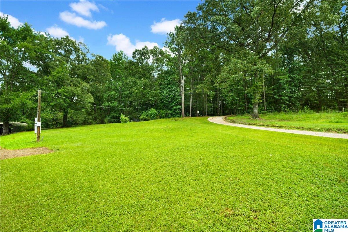 4162 Boston Road Adger, AL 35006 - Photo 3 of 25 Gallery Image 3