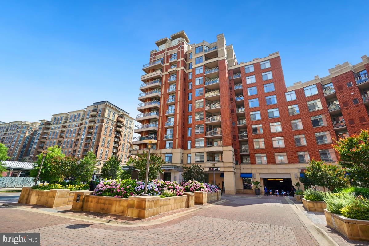 3650 South Glebe Road, Unit 653 Arlington, VA 22202 - Photo 2 of 46