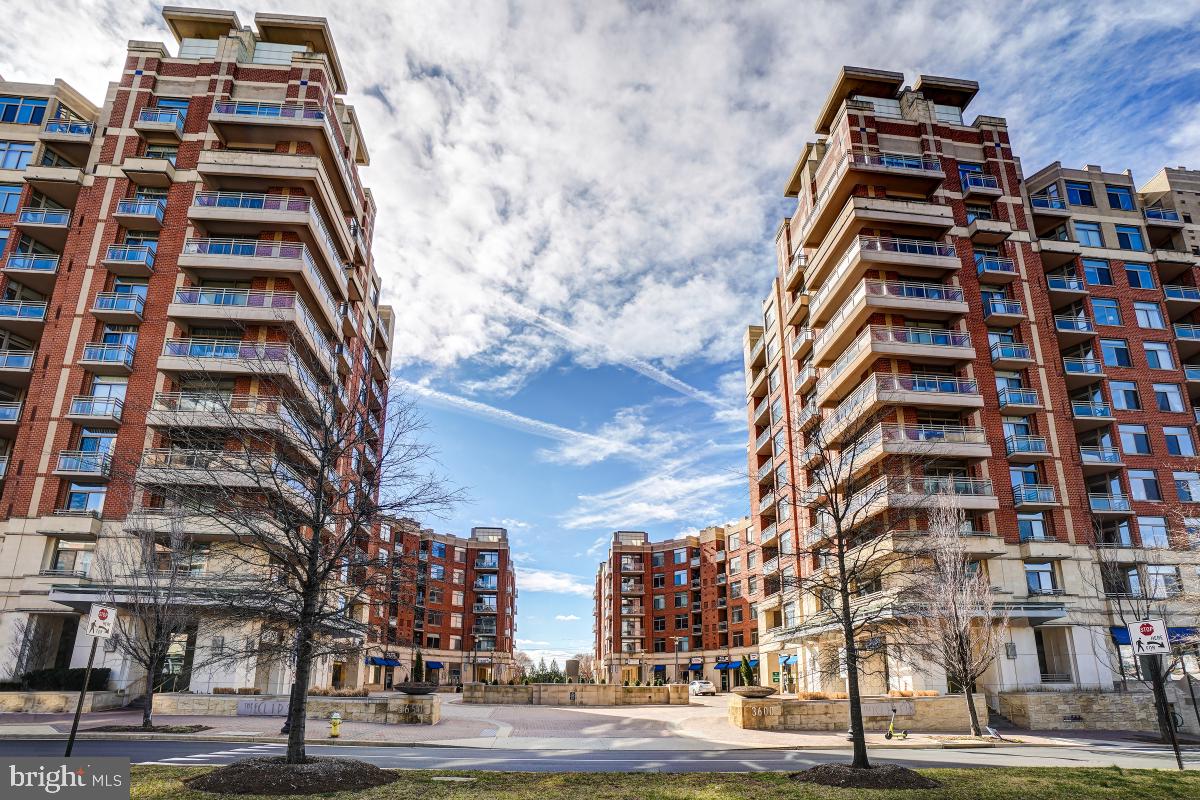 3650 South Glebe Road, Unit 653 Arlington, VA 22202 - Photo 38 of 46