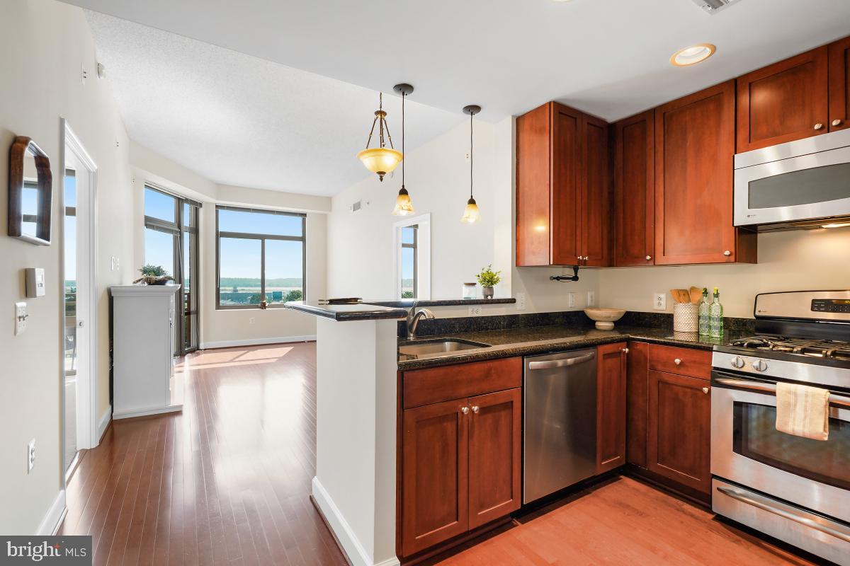 3650 South Glebe Road, Unit 653 Arlington, VA 22202 - Photo 7 of 46