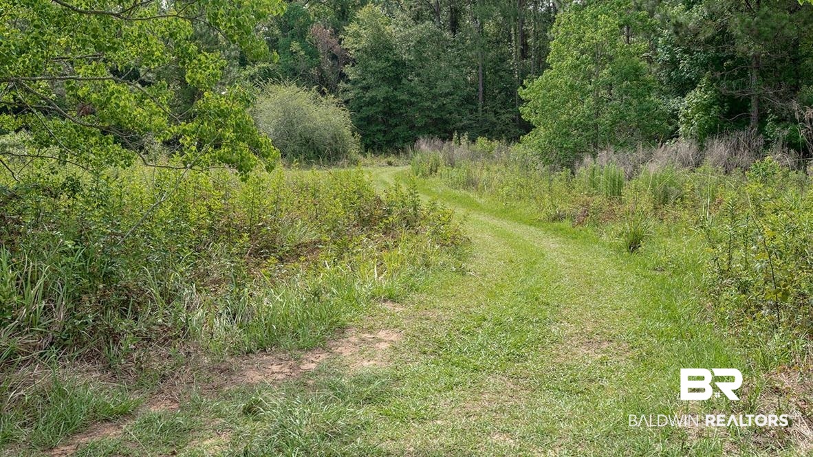 21211 Teluga Avenue Fairhope, AL 36532 - Photo 28 of 30