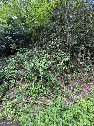 0 Crest Lane, Unit LOT 5 Rabun Gap, GA 30568 - Photo 4 of 5 Gallery Image 4