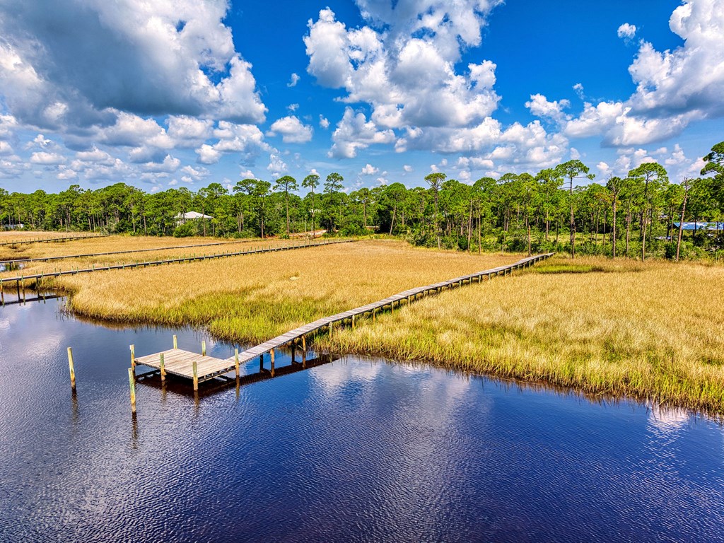 160 Timber Island Road Carrabelle, FL 32322 - Photo 7 of 12 Gallery Image 7