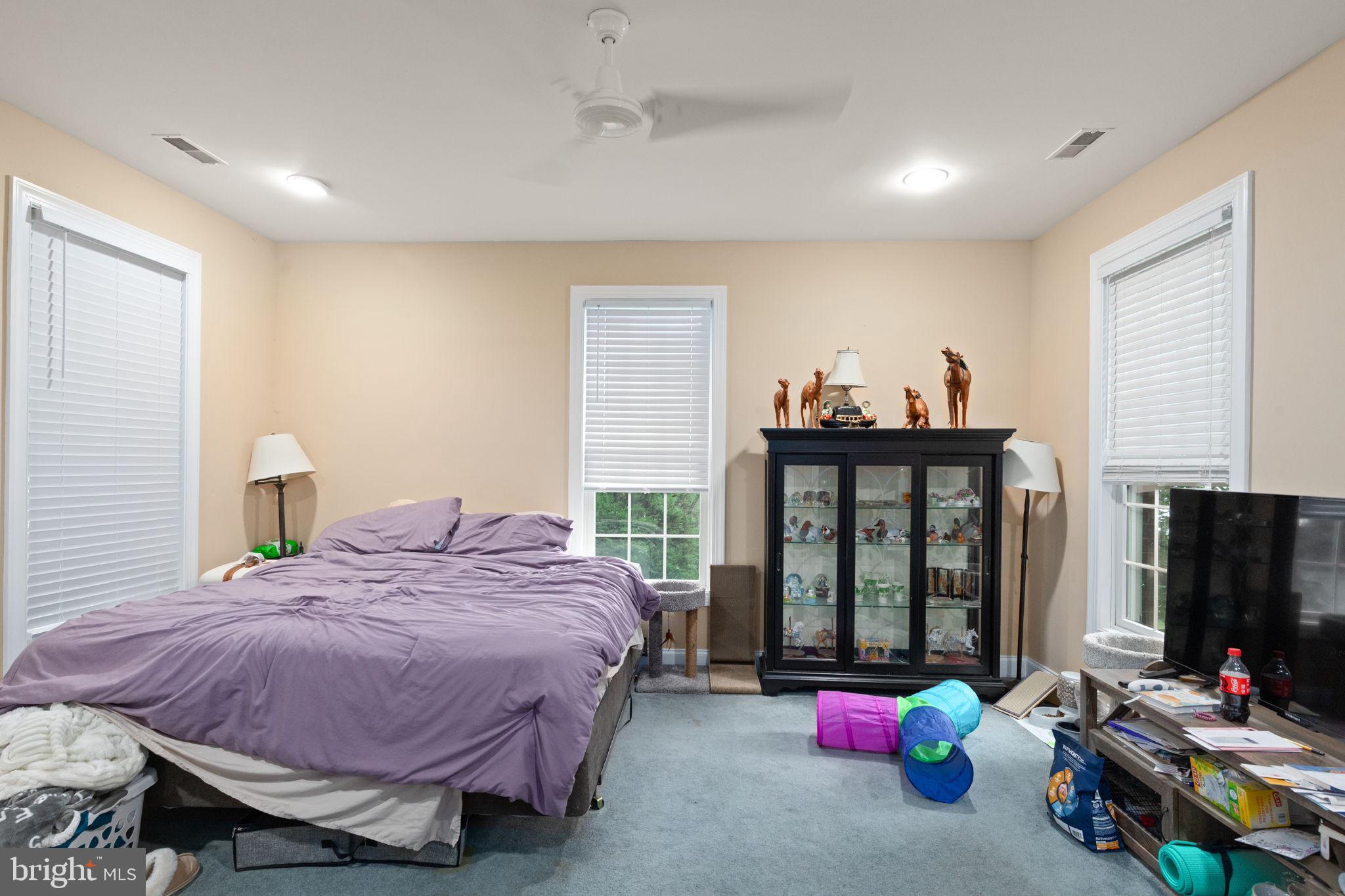 5530 Jim Pickett Road Sykesville, MD 21784 - Photo 41 of 49 a bedroom with a bed closet and a flat tv screen