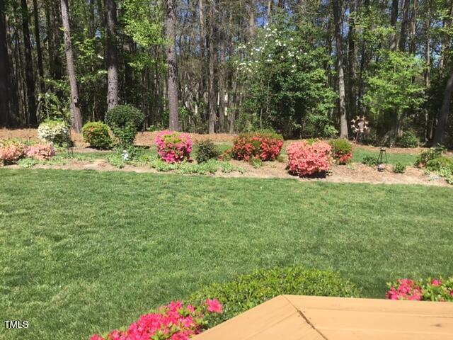 5512 Cardinal Grove Boulevard Raleigh, NC 27616 - Photo 41 of 46 Yard in full bloom in the spring/summer