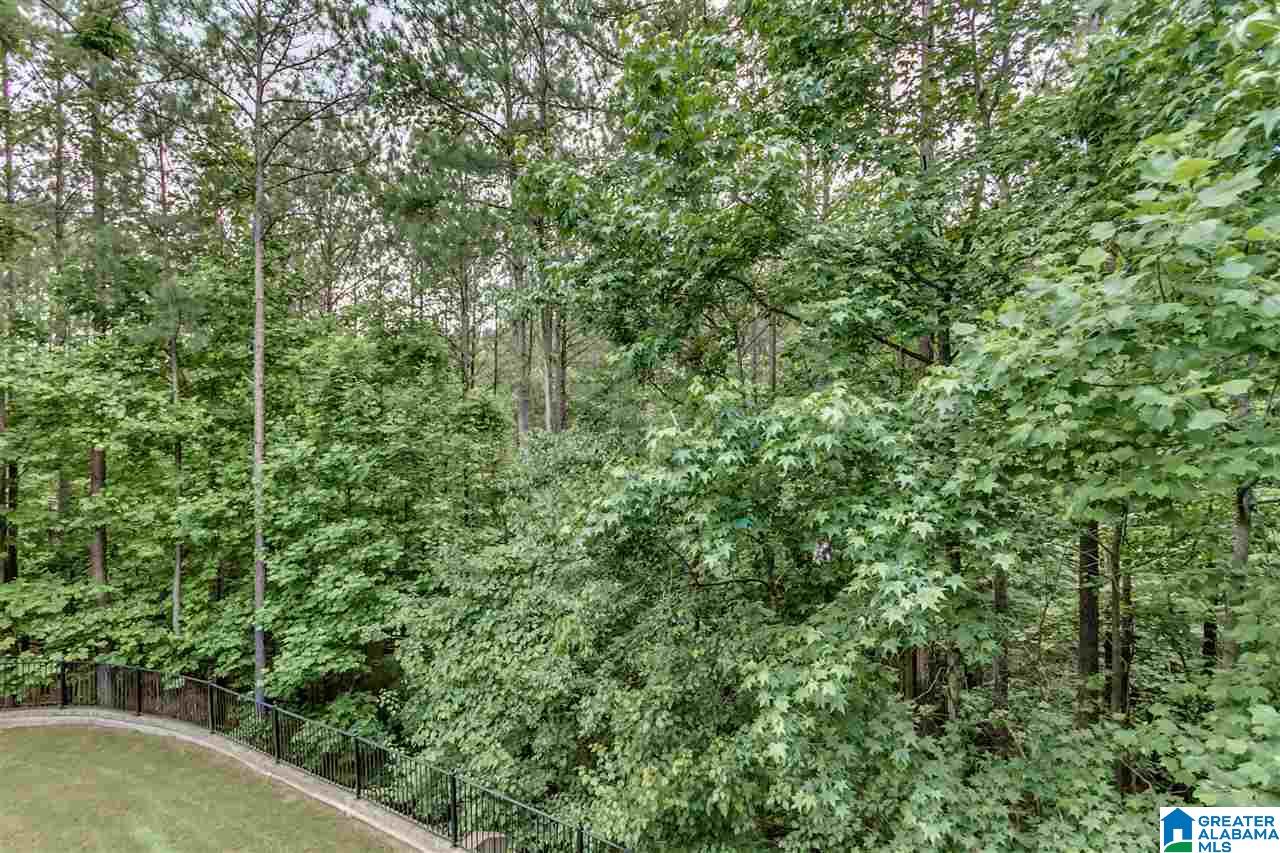 252 Stoneykirk Way Pelham, AL 35124 - Photo 11 of 50