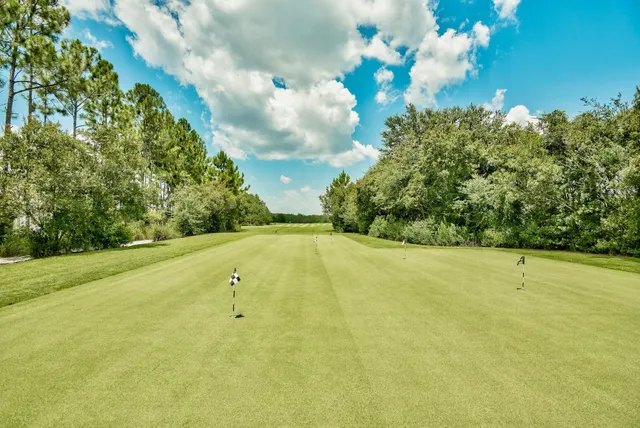 $1,875,000 | 21 Rosecourt Street, Watersound, FL 32461