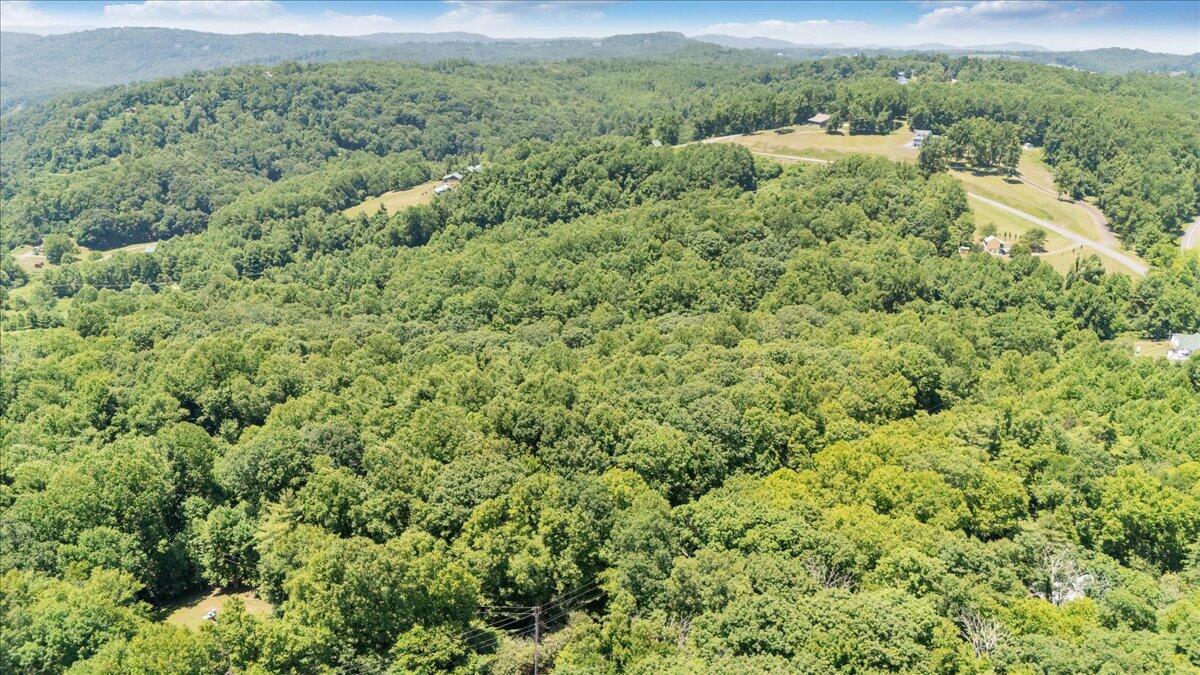 Tbd Dogwood Ridge Fancy Gap, VA 24328 - Photo 19 of 24 10-DJI_20260702131346_0010_D