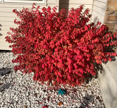 $554,900 | 6624 145th Circle North, Hugo, MN 55038