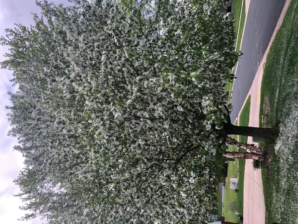 $554,900 | 6624 145th Circle North, Hugo, MN 55038