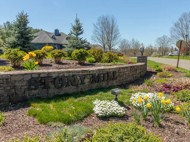 a view of a backyard with plants