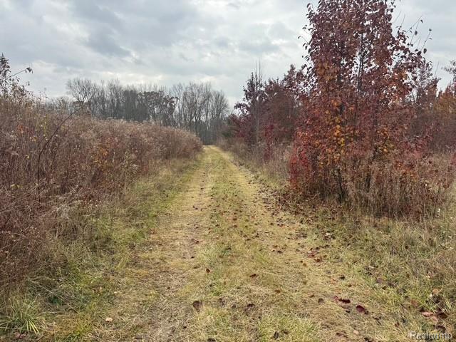 0 Remer Road East China, MI 48054 - Photo 9 of 12 Gallery Image 9