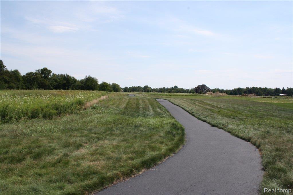 69742 Wildflower Lane Romeo, MI 48065 - Photo 24 of 24 Paved Road