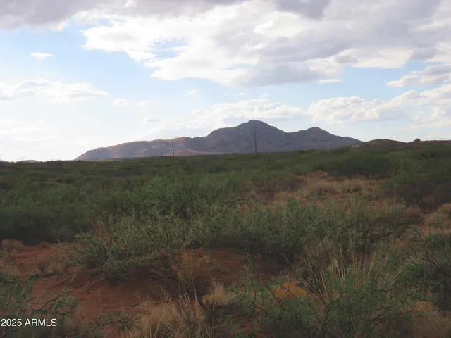 a view of a town with mountains in the background