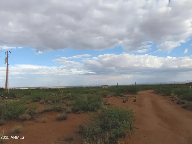 a view of a yard and covered with sky view