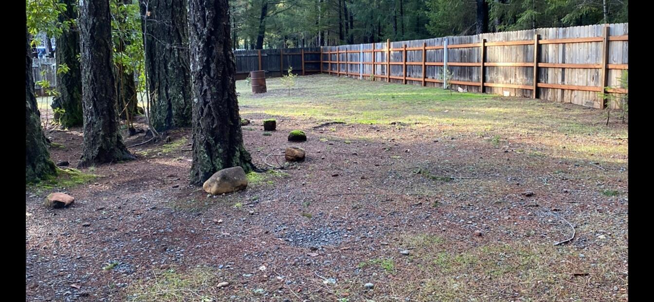780 Lone Mountain Road O'Brien, OR 97534 - Photo 19 of 33 a view of a backyard with a small cabin