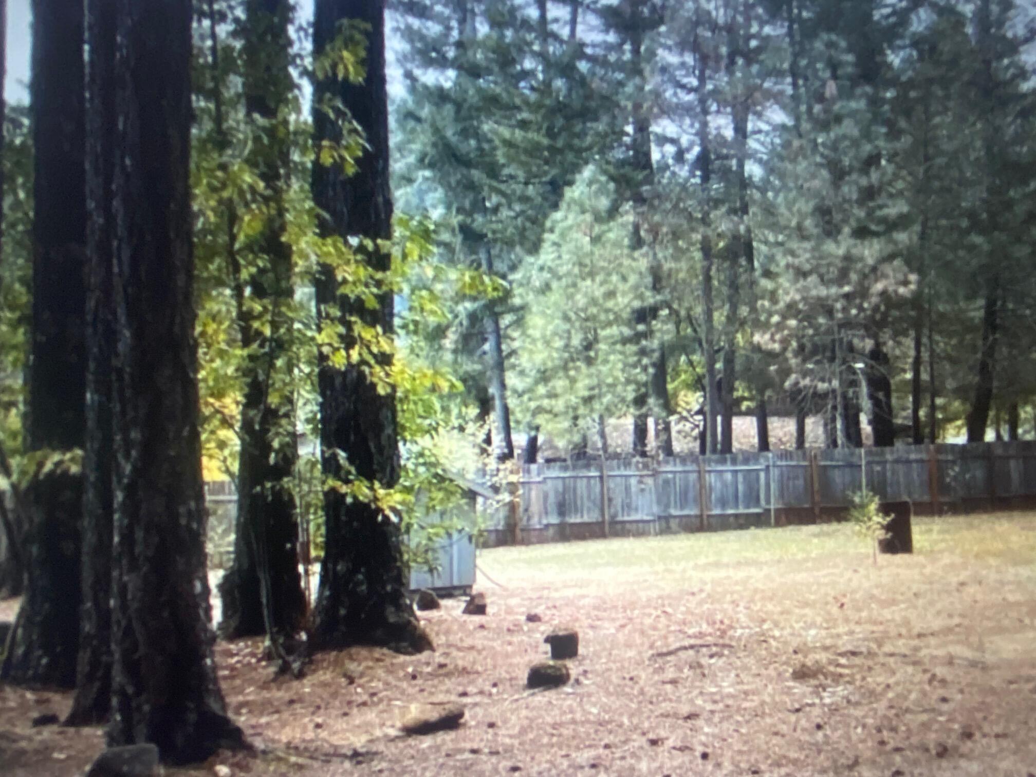780 Lone Mountain Road O'Brien, OR 97534 - Photo 30 of 33 a view of a yard with trees