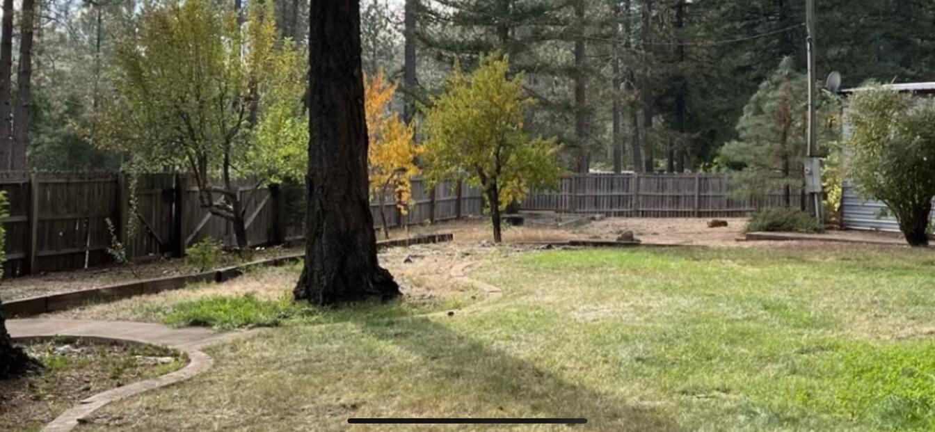 780 Lone Mountain Road O'Brien, OR 97534 - Photo 31 of 33 a view of a garden with a tree