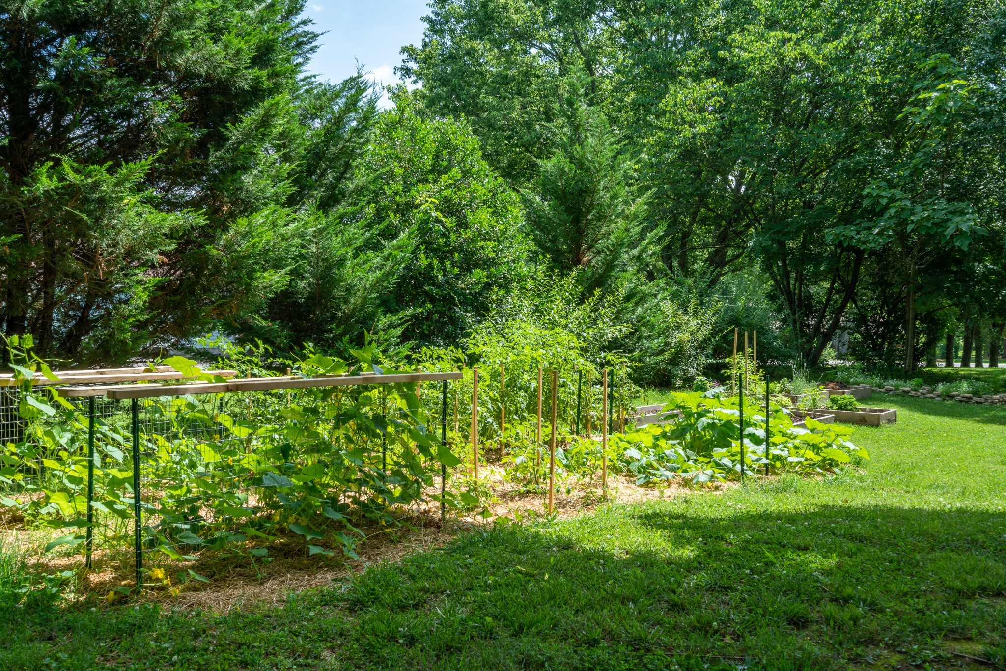 210 Valley Ridge Road Franklin, TN 37064 - Photo 29 of 39 Gallery Image 29