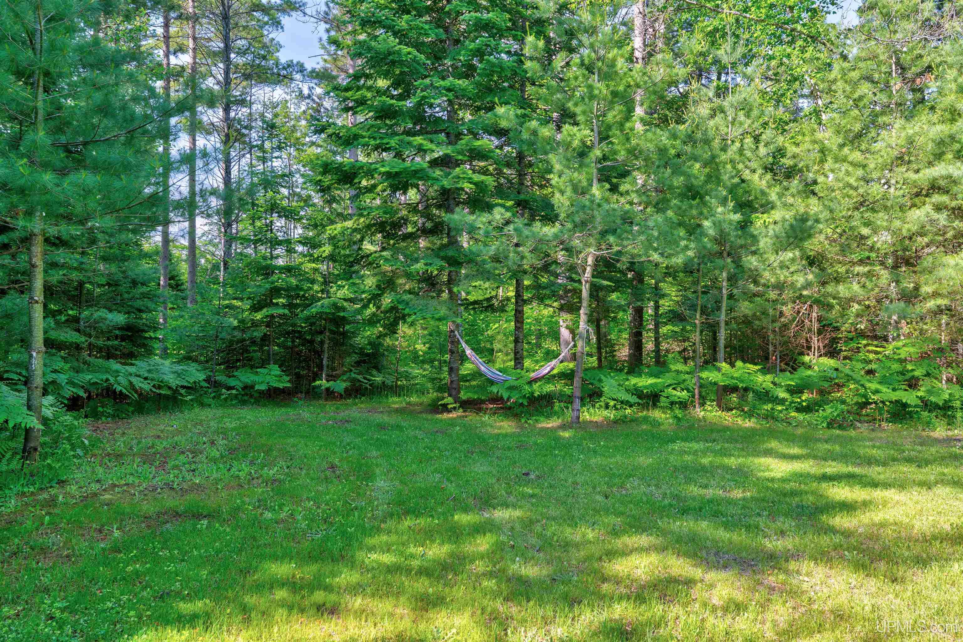 8928 Boot Lake Road Manistique, MI 49854 - Photo 67 of 85