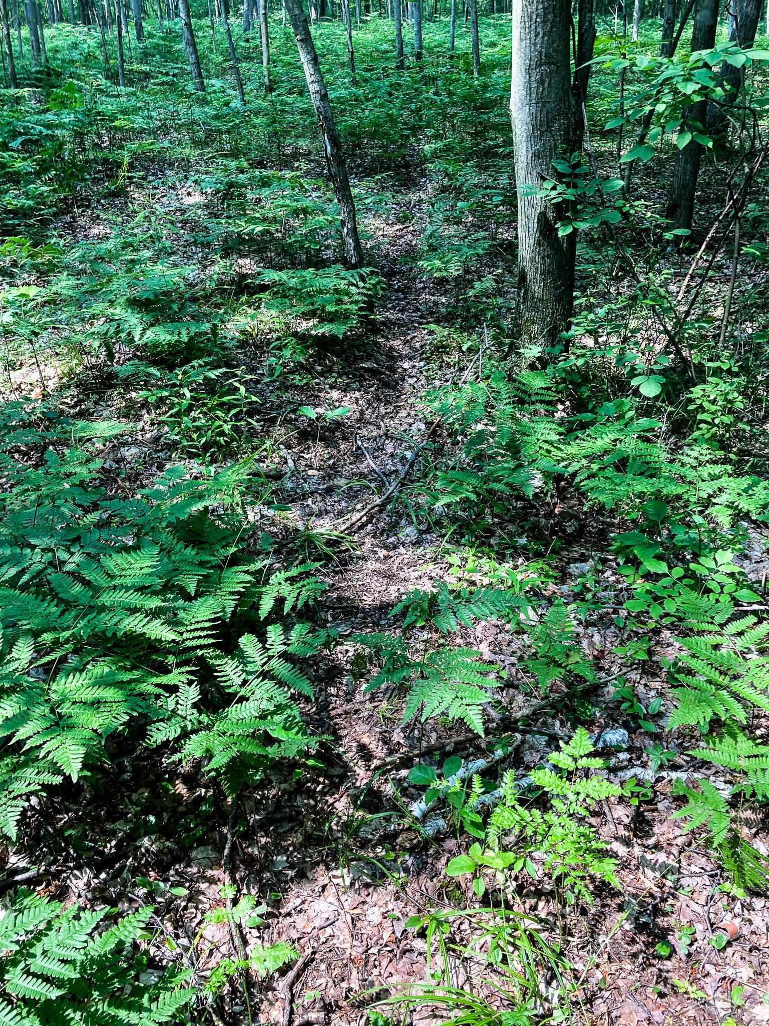 V/l East Bevens Road Caro, MI 48723 - Photo 27 of 41