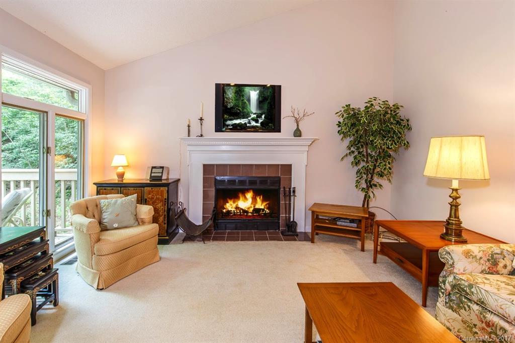 4122 Connestee Trail Brevard, NC 28712 - Photo 3 of 23