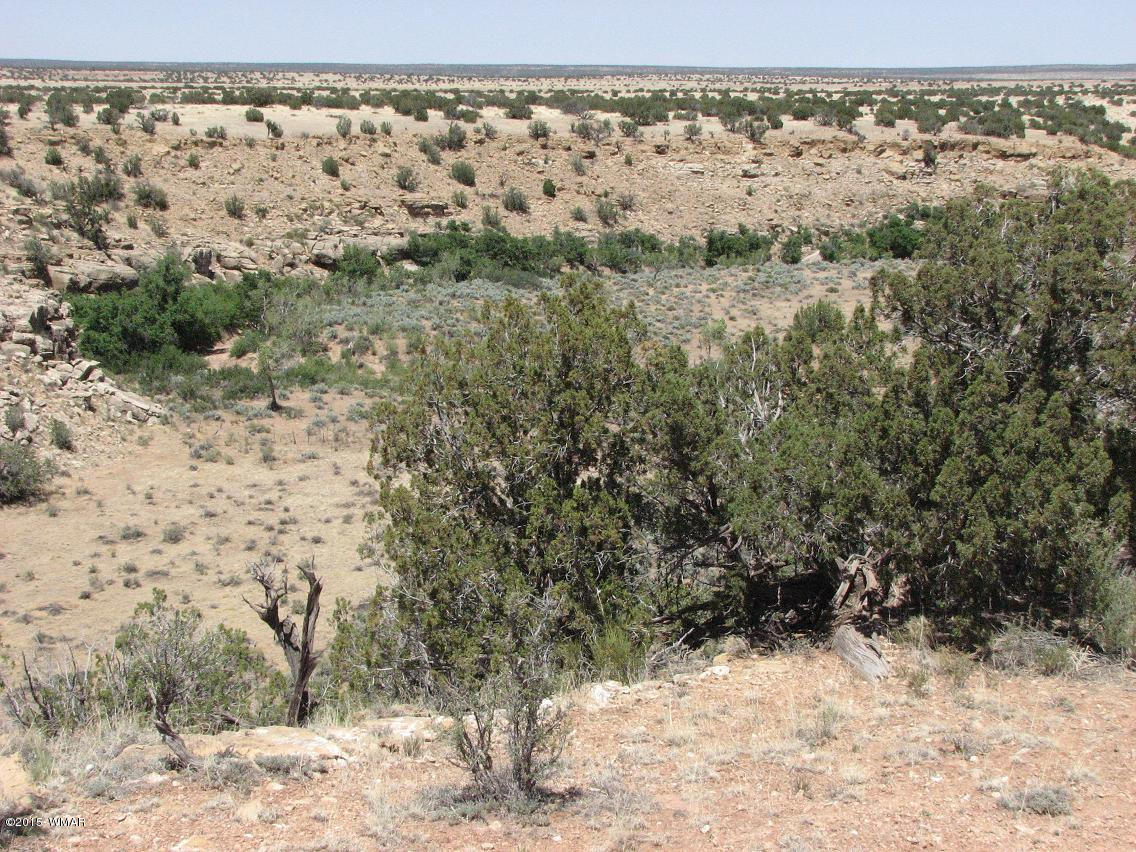 17 T14n R17e:se4 Sw4 Heber, AZ 85928 - Photo 3 of 5