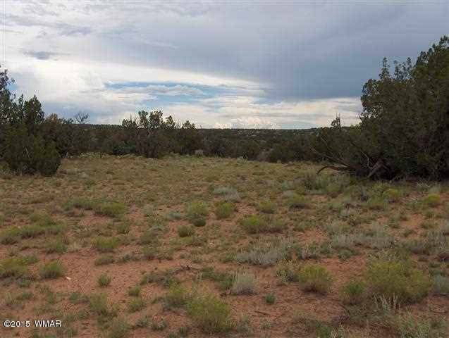 17 T14n R17e:se4 Sw4 Heber, AZ 85928 - Photo 4 of 5