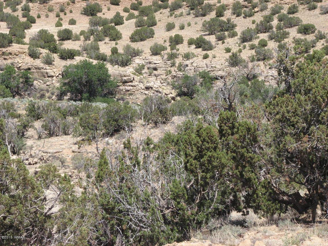 17 T14n R17e:se4 Sw4 Heber, AZ 85928 - Photo 5 of 5