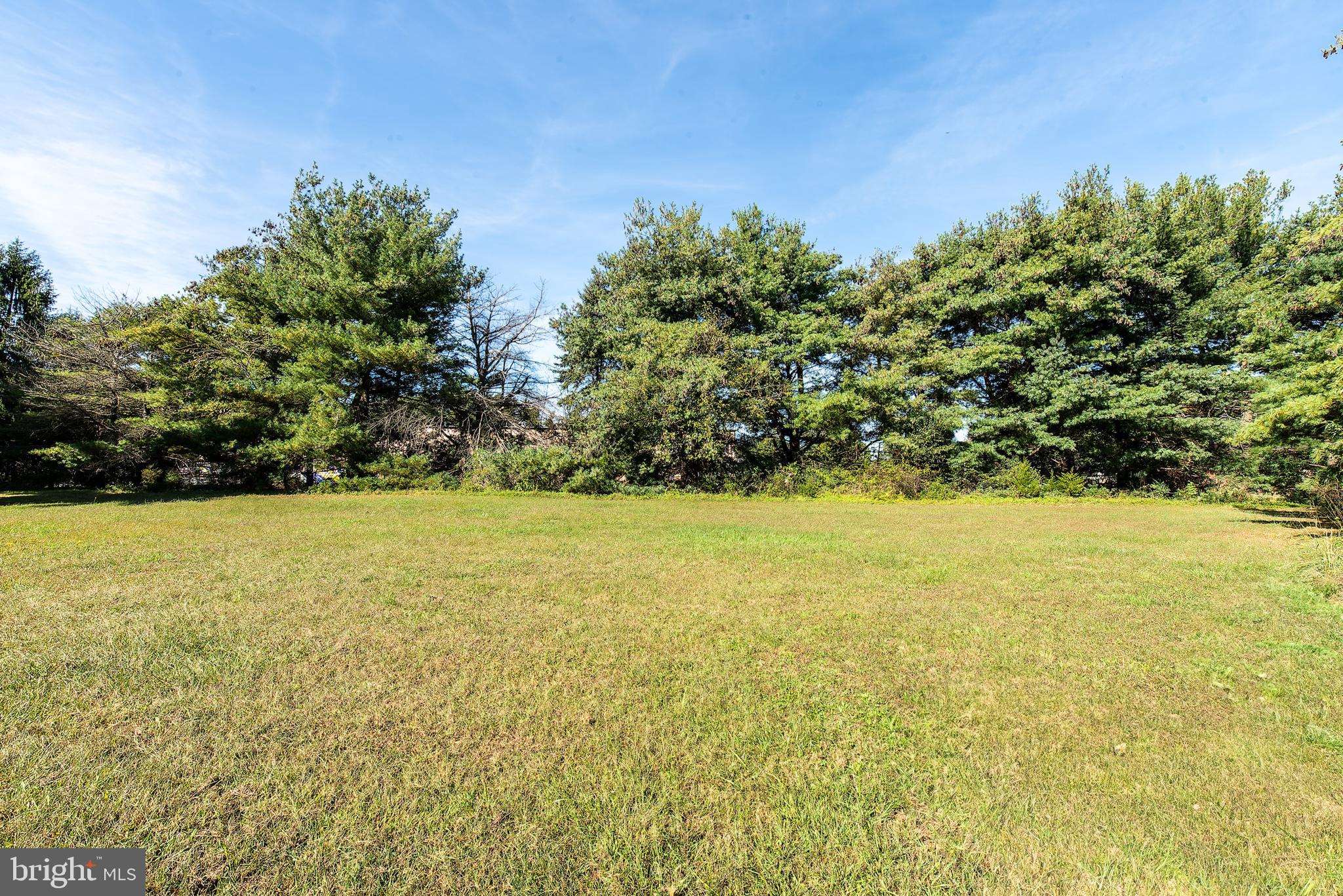337 Harding Highway Pittsgrove, NJ 08318 - Photo 15 of 68 a view of outdoor space and yard