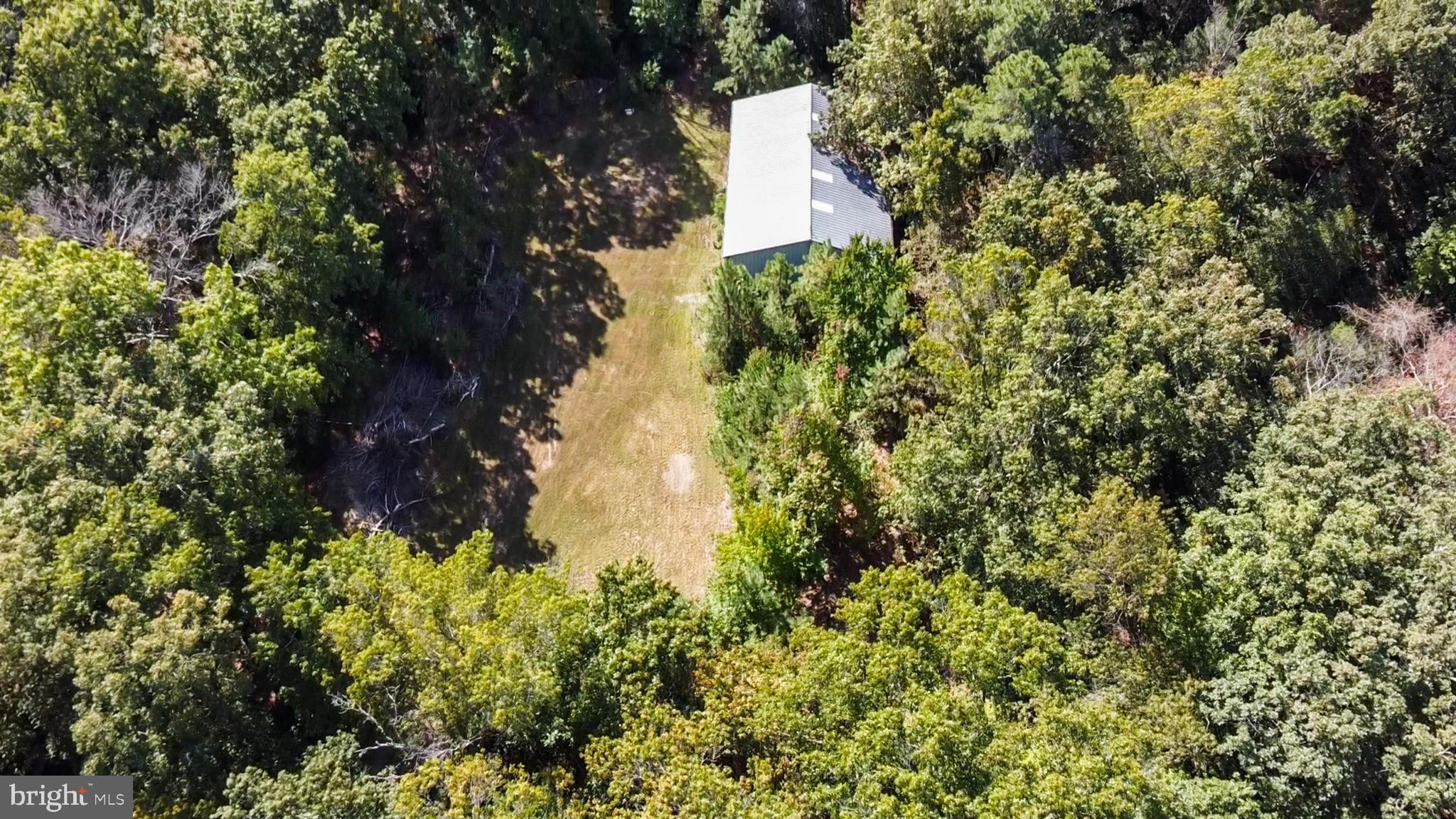 337 Harding Highway Pittsgrove, NJ 08318 - Photo 20 of 68 a close up of a tree in a garden